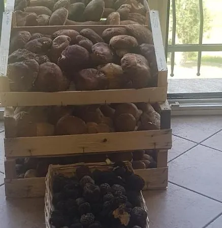 Πανδοχείο Mamma Teresa