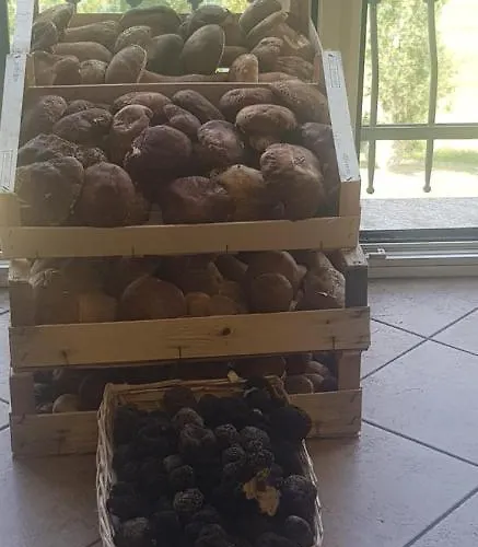 Gasthof Mamma Teresa